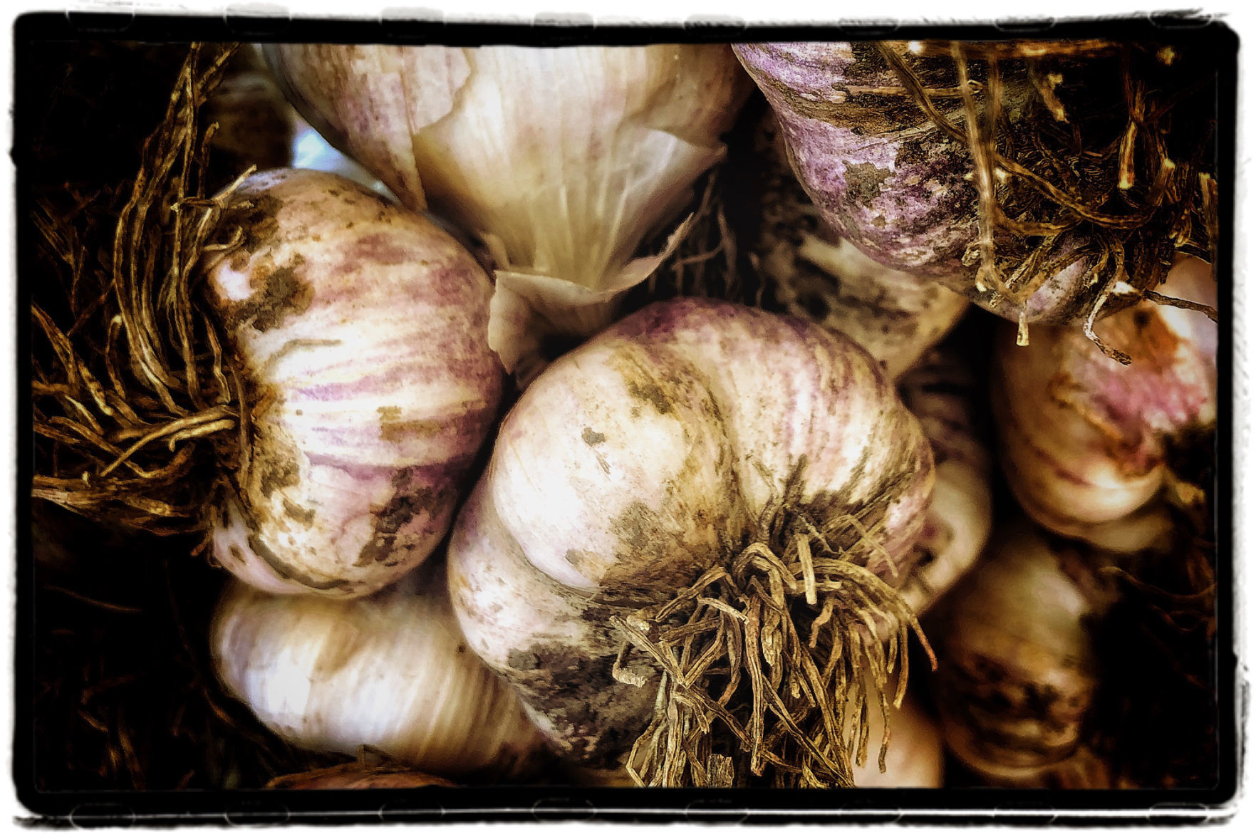 Farmers Market Produce